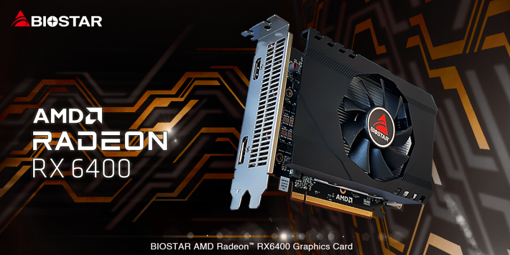 Tarjeta Video Biostar RX6400 4GB DDR6