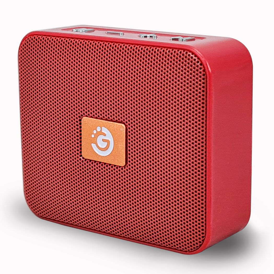 PARLANTE PORTATIL GOLDTECH POCKETBOOM BT/FM/SD