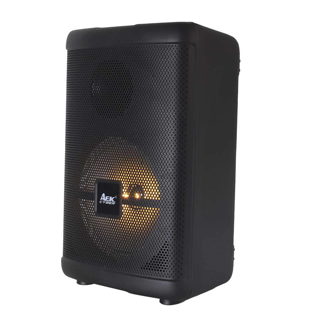 PARLANTE PORTABLE AEK 8″