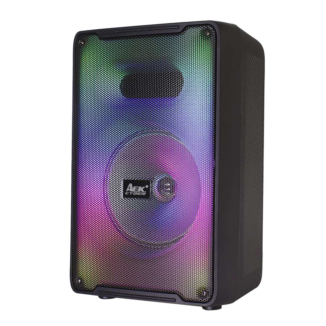 PARLANTE PORTABLE AEK 8″ S-10819