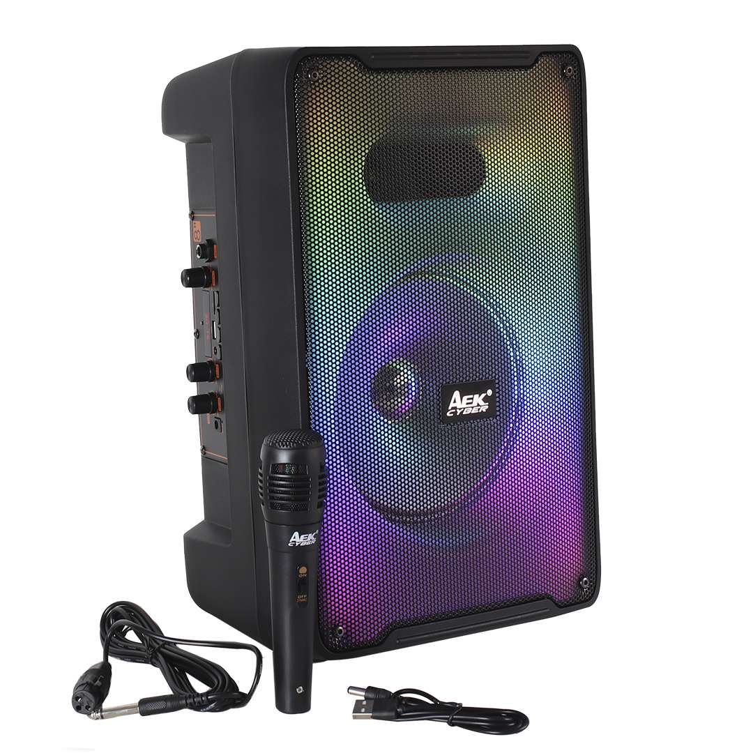 PARLANTE PORTABLE AEK 8″ S-10819