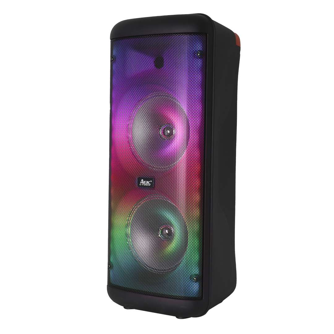 PARLANTE PORTATIL AEK 2×8″