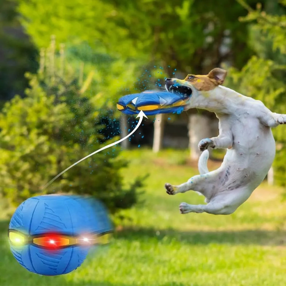 PELOTA MAGICA DISCO VOLADOR LUZ