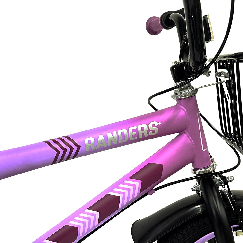 Bicicleta Rodado 16 con rueditas y canasto