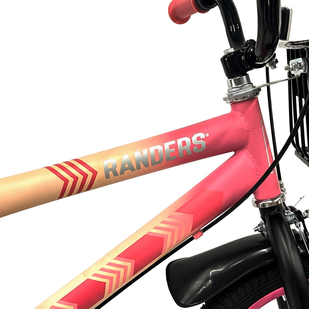 Bicicleta Rodado 16 con rueditas y canasto
