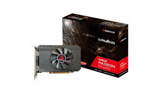 Tarjeta Video Biostar RX6400 4GB DDR6